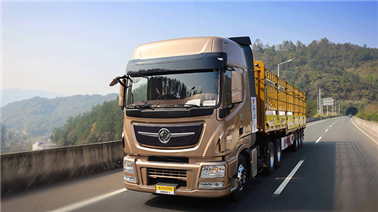 DSM攝像頭：智能守護(hù)，安全無(wú)憂！